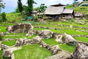 SAPA: 2 GIORNI a piedi e 1 notte in famiglia con guida locale