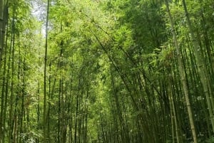 SAPA: 2 GIORNI a piedi e 1 notte in famiglia con guida locale