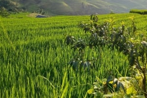 SAPA: 2 GIORNI a piedi e 1 notte in famiglia con guida locale