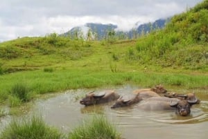 SAPA: 2 GIORNI a piedi e 1 notte in famiglia con guida locale