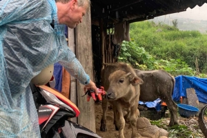 SAPA: 2 GIORNI a piedi e 1 notte in famiglia con guida locale