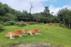 SAPA: 2 GIORNI a piedi e 1 notte in famiglia con guida locale