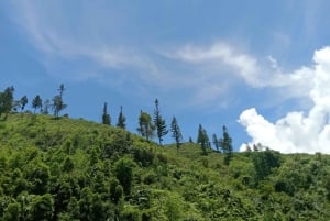 SAPA: 2 GIORNI a piedi e 1 notte in famiglia con guida locale