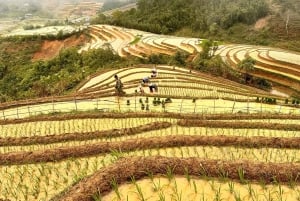 SAPA: 2 GIORNI a piedi e 1 notte in famiglia con guida locale