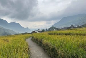 Sapa: 2D1N Authentic Trek & Homestay with Local Guide