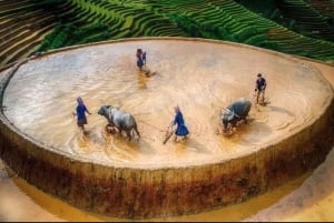 Sapa 2D1N Familjevandringstur: Lätta stigar och lokal hemvistelse