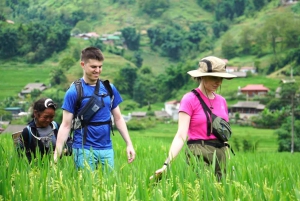 Sapa : randonnée de 2 jours avec un guide de la région et séjour confortable chez LaLa