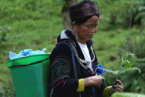 Sapa : randonnée de 2 jours avec un guide de la région et séjour confortable chez LaLa