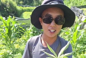 Sapa : randonnée de 2 jours avec un guide de la région et séjour confortable chez LaLa