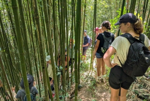 Sapa : randonnée de 2 jours avec un guide de la région et séjour confortable chez LaLa