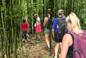 Sapa : randonnée de 2 jours avec un guide de la région et séjour confortable chez LaLa