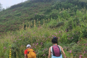 Sapa : randonnée de 2 jours avec un guide de la région et séjour confortable chez LaLa