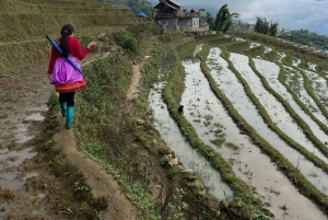 Sapa : randonnée de 2 jours avec un guide de la région et séjour confortable chez LaLa