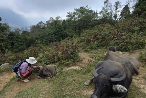 Sapa : randonnée de 2 jours avec un guide de la région et séjour confortable chez LaLa