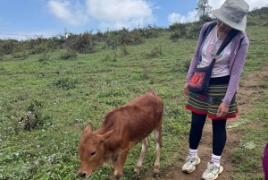 Sapa : randonnée de 2 jours avec un guide de la région et séjour confortable chez LaLa