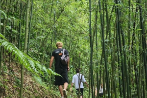 Sapa : randonnée de 2 jours avec un guide de la région et séjour confortable chez LaLa