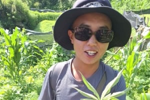 Sapa: 2 päivän ja 1 yön vaellus paikallisen oppaan kanssa ja kodikas LaLa-kotimajoitus