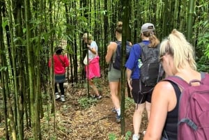 Sapa: 2 päivän ja 1 yön vaellus paikallisen oppaan kanssa ja kodikas LaLa-kotimajoitus