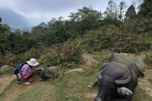 Sapa: 2 päivän ja 1 yön vaellus paikallisen oppaan kanssa ja kodikas LaLa-kotimajoitus