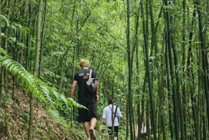 Sapa: 2 päivän ja 1 yön vaellus paikallisen oppaan kanssa ja kodikas LaLa-kotimajoitus