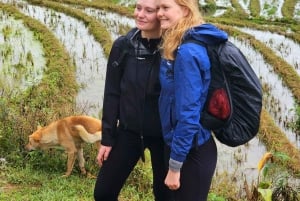 Sapa: 2 päivän ja 1 yön vaellus paikallisen oppaan kanssa ja kodikas LaLa-kotimajoitus