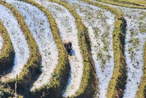 Sapa: 2 päivän ja 1 yön vaellus paikallisen oppaan kanssa ja kodikas LaLa-kotimajoitus