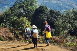 Sapa: 2 päivän ja 1 yön vaellus paikallisen oppaan kanssa ja kodikas LaLa-kotimajoitus