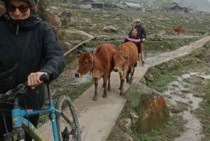 Sapa: 3-Day Bac Ha Bike Tour with Markets and Villages