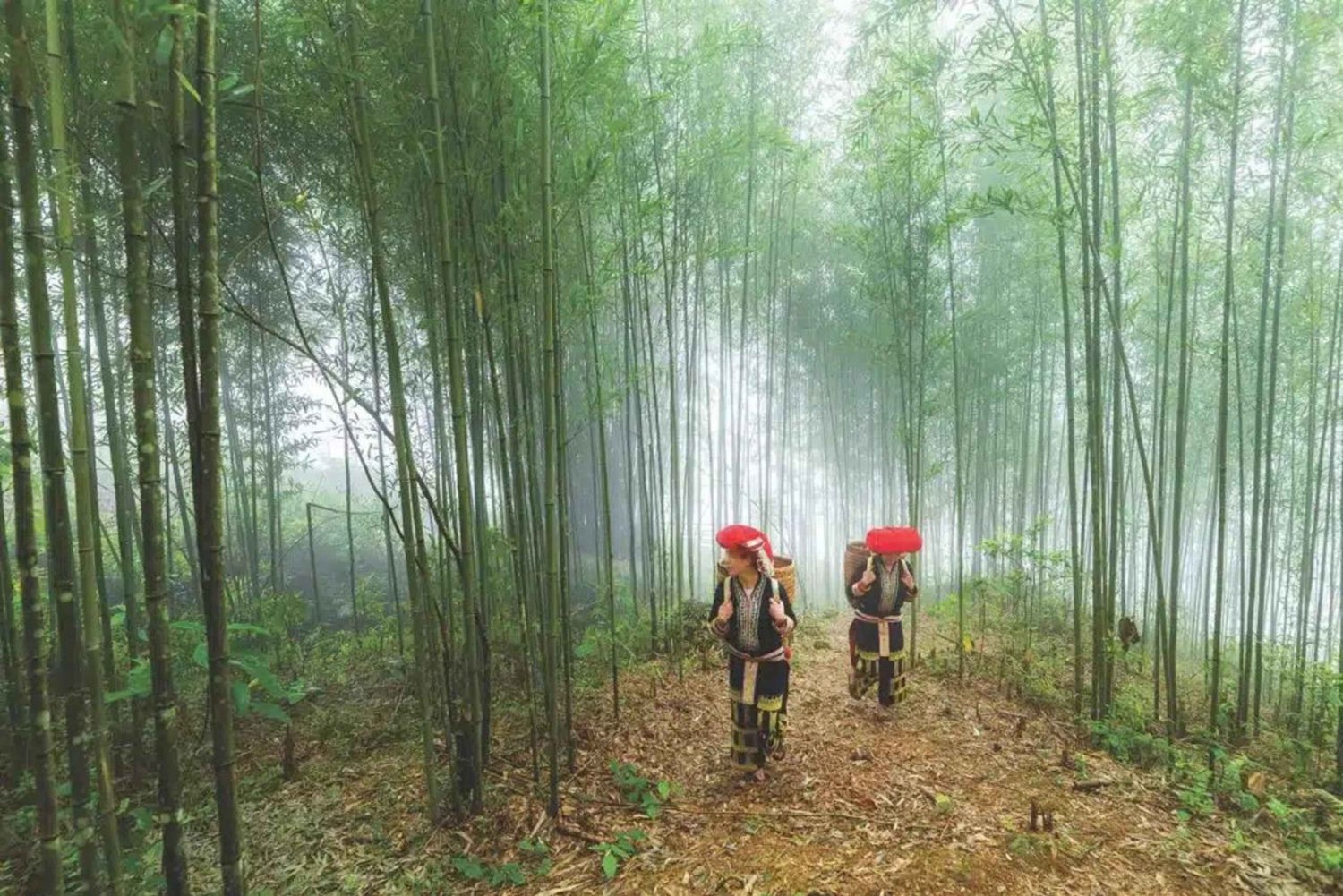 Sapa: 4-tägige Trekking-Tour mit Gastfamilienaufenthalt