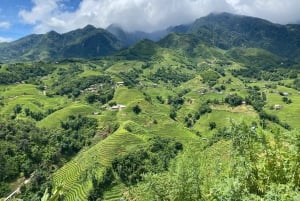 Sapa: 4-dagers trekkingtur med homestay