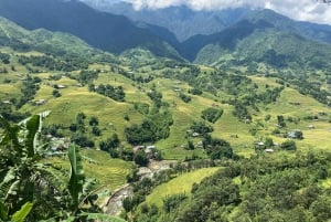 Sapa: 4-dagers trekkingtur med homestay