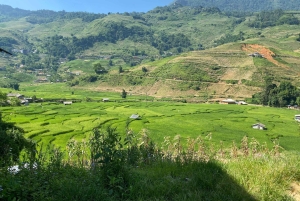 Sapa: excursión de senderismo de 4 días con alojamiento en casas particulares.