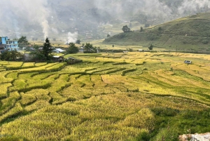 Sapa: excursión de senderismo de 4 días con alojamiento en casas particulares.