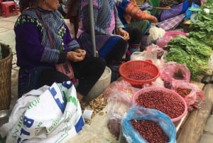 Tour di 1 giorno in moto da Sapa a Bac Ha con guida locale