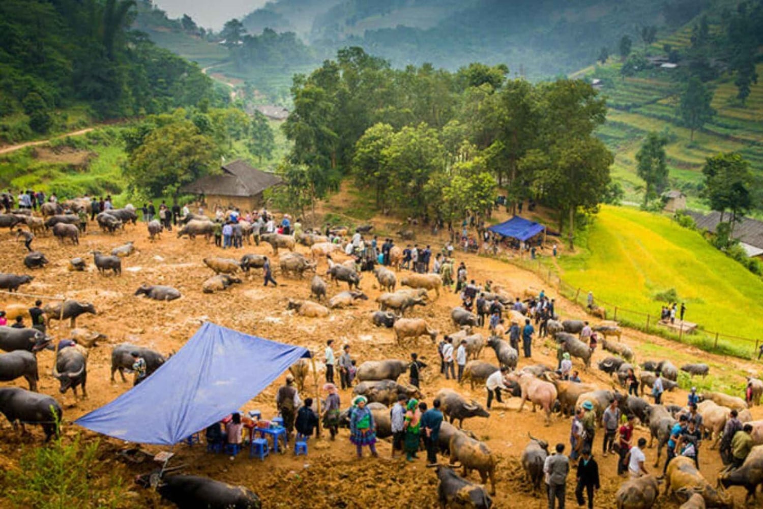 Sapa: visita ao mercado de Bac Ha nas Terras Altas do Noroeste