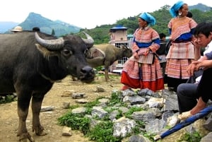 Sapa: visita ao mercado de Bac Ha nas Terras Altas do Noroeste