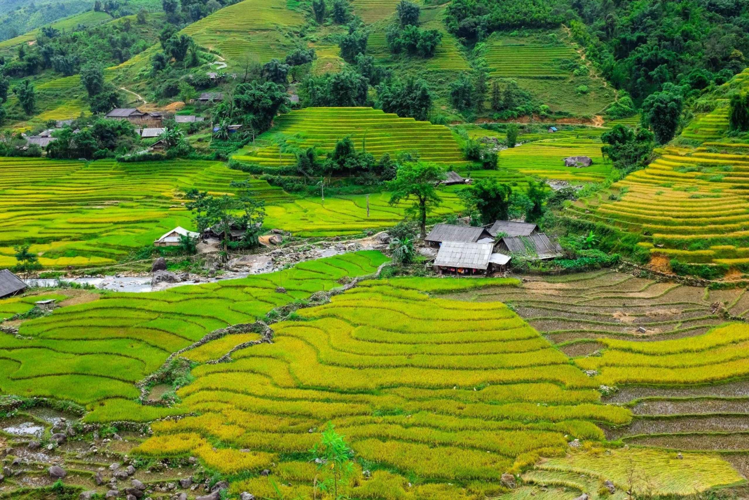Sapa beautiful rice field, village - Easy walking kid,senior