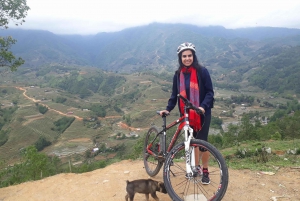 Sapa Bike Tour to Muong Hoa Valley and Local Life Experience