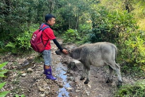 SAPA : Subida a la montaña Fansipan con GUÍA LOCAL