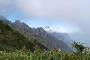 SAPA : Salita al monte Fansipan con la GUIDA LOCALE