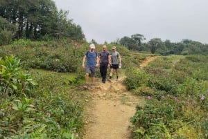 SAPA : Climb up to Fansipan mountain with LOCAL GUIDE