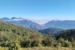 SAPA : Climb up to Fansipan mountain with LOCAL GUIDE