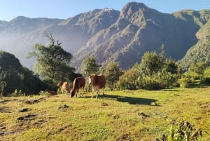 SAPA : Climb up to Fansipan mountain with LOCAL GUIDE