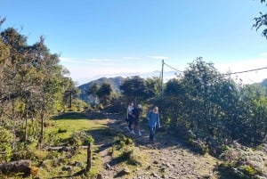 SAPA : Climb up to Fansipan mountain with LOCAL GUIDE