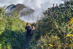 SAPA : Climb up to Fansipan mountain with LOCAL GUIDE