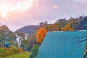 SAPA : Climb up to Fansipan mountain with LOCAL GUIDE