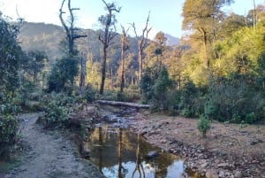 SAPA : Climb up to Fansipan mountain with LOCAL GUIDE