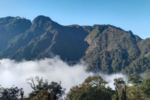 SAPA: Suba até a montanha Fansipan com um guia local