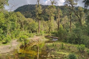 SAPA : Salita al monte Fansipan con la GUIDA LOCALE