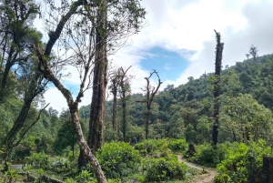 SAPA : Salita al monte Fansipan con la GUIDA LOCALE